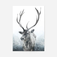 Reindeer Snow Portrait Christmas Print