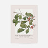 The Most Wonderful Time Of Year Holly Christmas Print