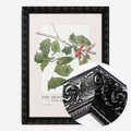 Black Ornate Frame