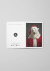 Polar Bear A6 Christmas Greetings Card