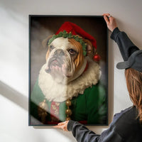 Christmas Elf Bulldog Animal Portrait Print