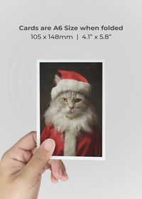 Cat Portrait 1 A6 Christmas Greetings Card