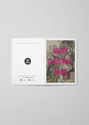 Merry Christmas Mate Greetings Card