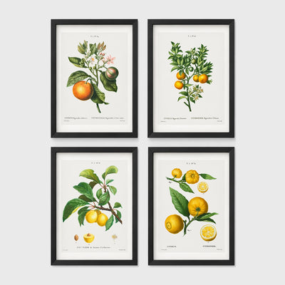 Set of 4 framed prints, vintage advertising & travel posters: a Japanese mountain railway travel poster; a Munich Zoo leopard poster ("Zoologischer Garten München"); a Grand Canyon railway travel poster; and a French absinthe warning poster ("Condamnée à Mort! L'Absinthe!") — unframed