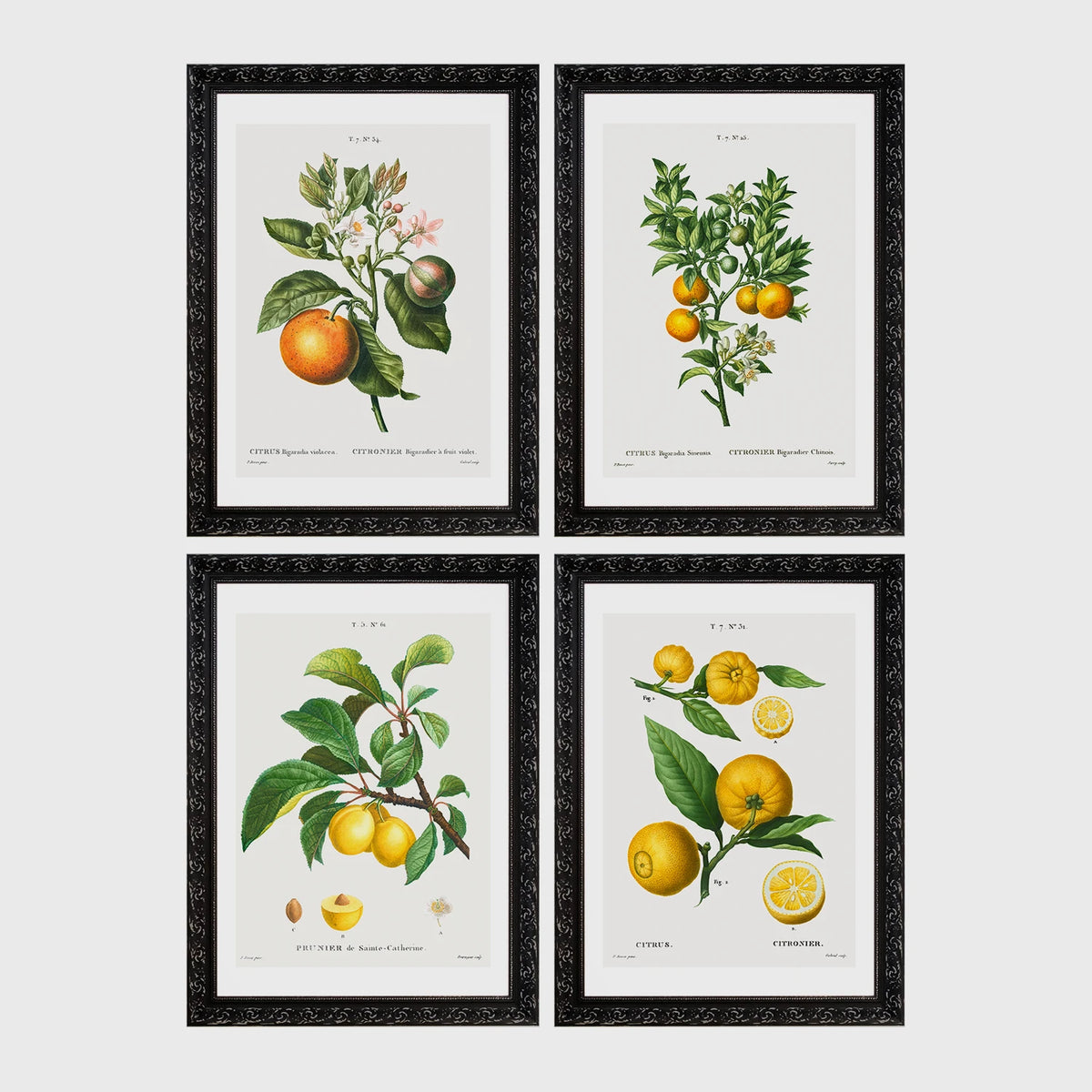 Set of 4 framed prints, vintage advertising & travel posters: a Japanese mountain railway travel poster; a Munich Zoo leopard poster ("Zoologischer Garten München"); a Grand Canyon railway travel poster; and a French absinthe warning poster ("Condamnée à Mort! L'Absinthe!") — unframed