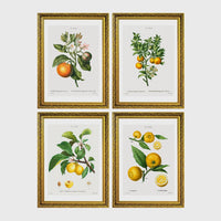 Set of 4 framed prints, vintage advertising & travel posters: a Japanese mountain railway travel poster; a Munich Zoo leopard poster ("Zoologischer Garten München"); a Grand Canyon railway travel poster; and a French absinthe warning poster ("Condamnée à Mort! L'Absinthe!") — unframed