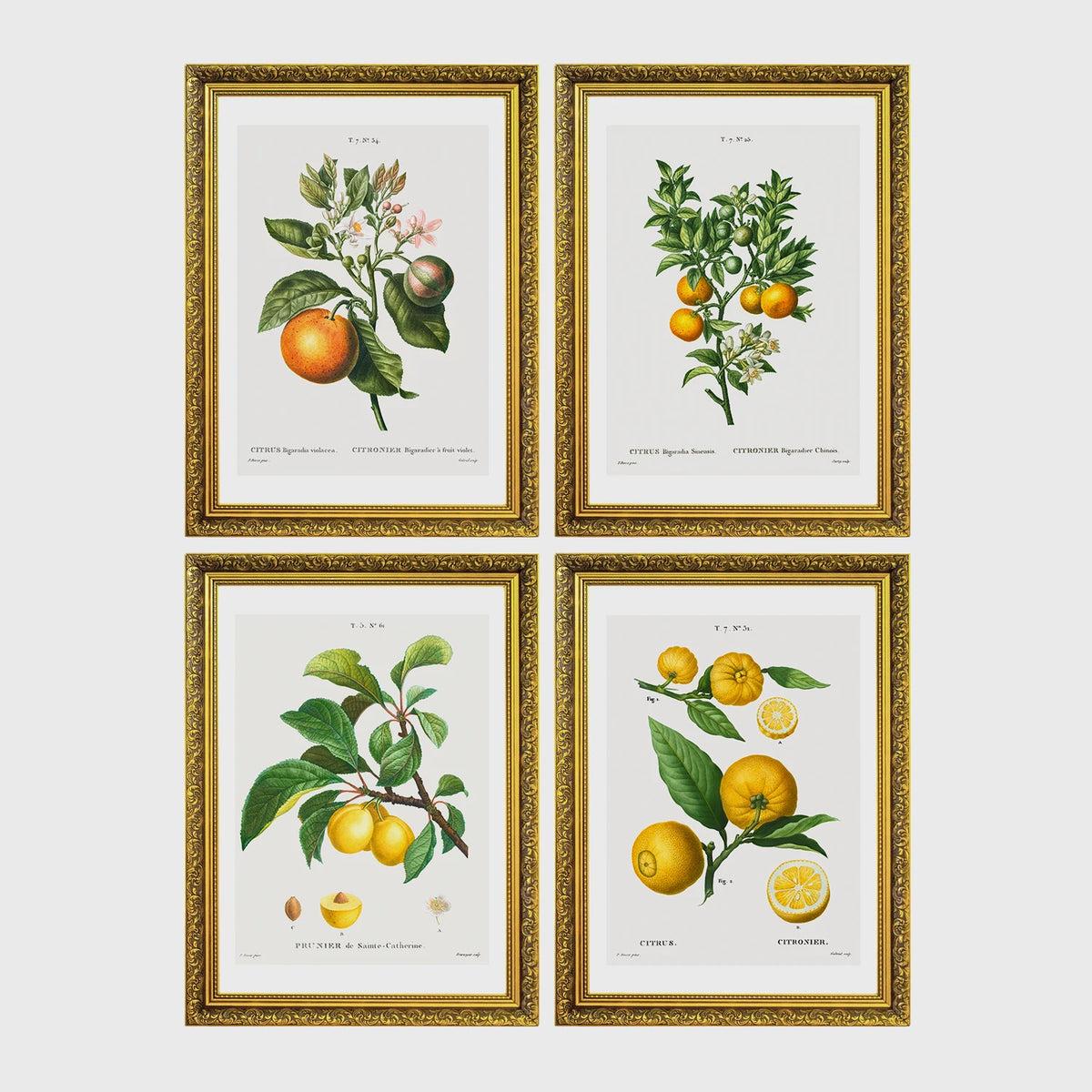 Set of 4 framed prints, vintage advertising & travel posters: a Japanese mountain railway travel poster; a Munich Zoo leopard poster ("Zoologischer Garten München"); a Grand Canyon railway travel poster; and a French absinthe warning poster ("Condamnée à Mort! L'Absinthe!") — unframed