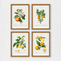 Set of 4 framed prints, vintage advertising & travel posters: a Japanese mountain railway travel poster; a Munich Zoo leopard poster ("Zoologischer Garten München"); a Grand Canyon railway travel poster; and a French absinthe warning poster ("Condamnée à Mort! L'Absinthe!") — unframed