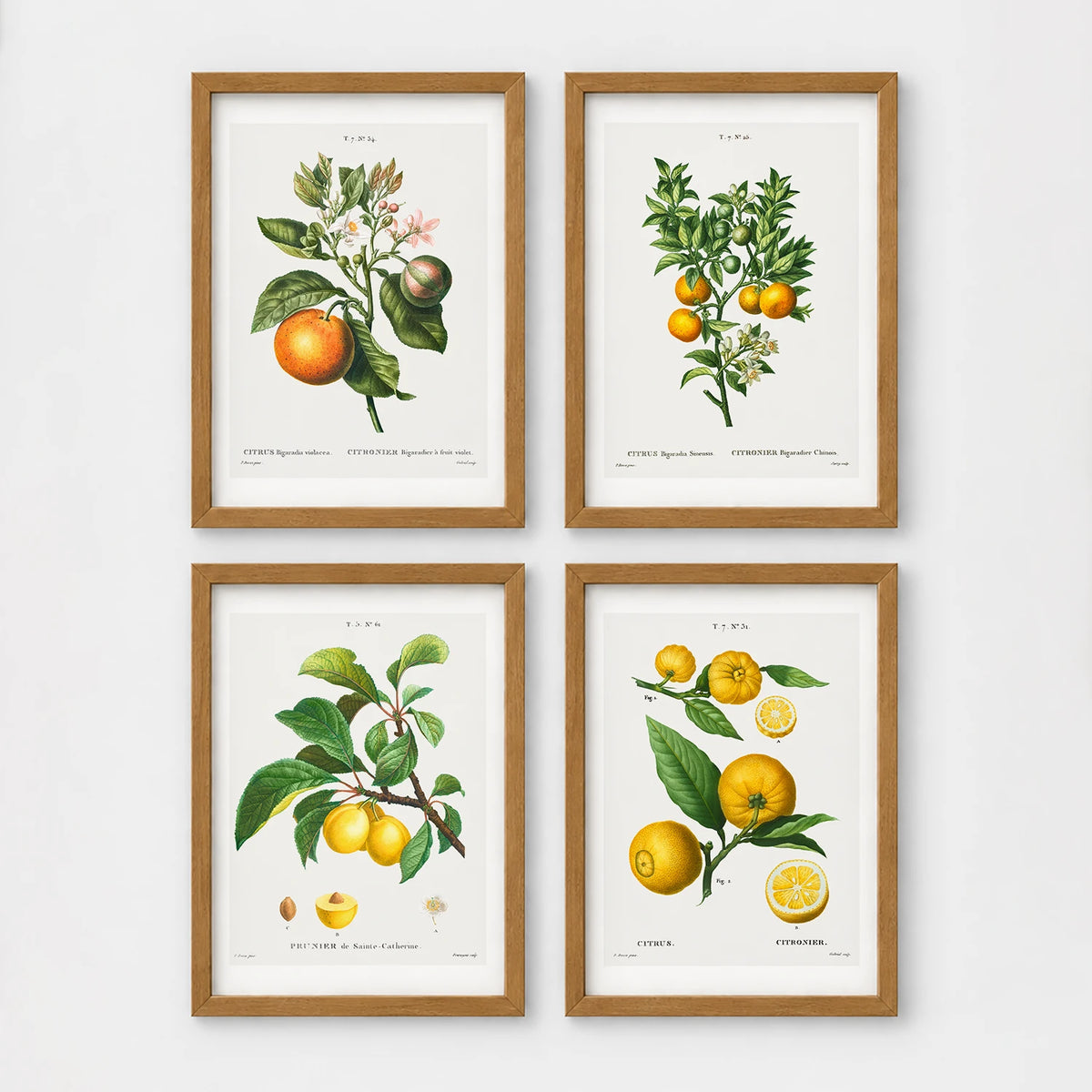 Set of 4 framed prints, vintage advertising & travel posters: a Japanese mountain railway travel poster; a Munich Zoo leopard poster ("Zoologischer Garten München"); a Grand Canyon railway travel poster; and a French absinthe warning poster ("Condamnée à Mort! L'Absinthe!") — unframed