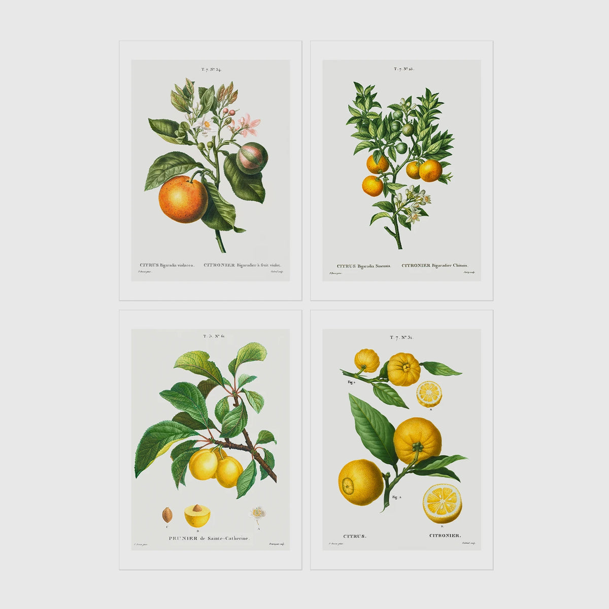 Set of 4 framed prints, vintage advertising & travel posters: a Japanese mountain railway travel poster; a Munich Zoo leopard poster ("Zoologischer Garten München"); a Grand Canyon railway travel poster; and a French absinthe warning poster ("Condamnée à Mort! L'Absinthe!") — unframed