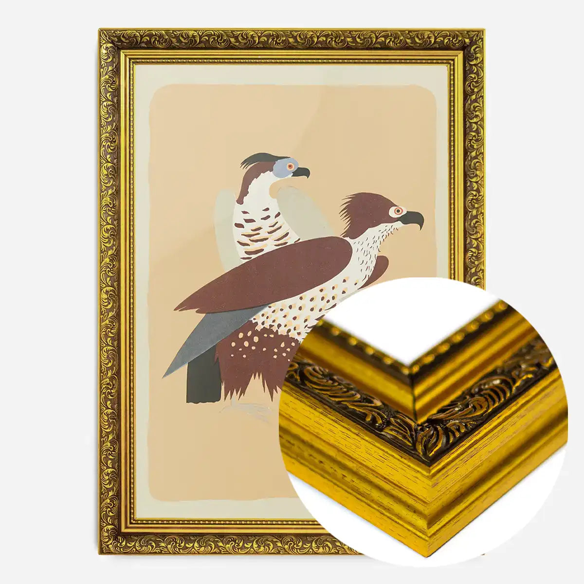 Birds of Prey Illustration Print by Elena Pavlovna Gertik