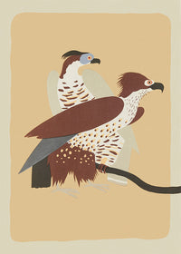 Birds of Prey Illustration Print by Elena Pavlovna Gertik