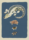 Crocodile and Tortoises Illustration Print by Elena Pavlovna Gertik