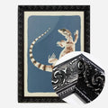 Black Ornate Frame