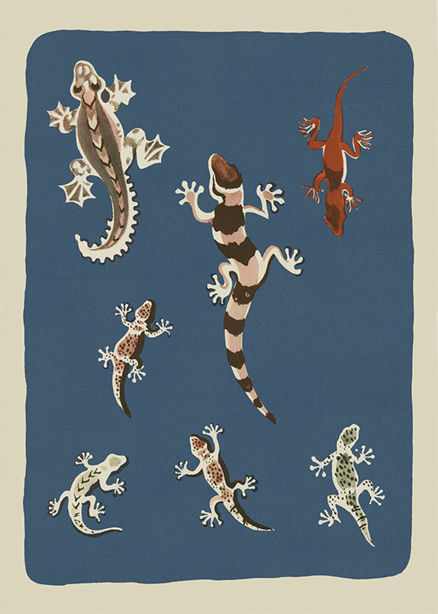 Seven Geckos Illustration Print by Elena Pavlovna Gertik