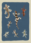Seven Geckos Illustration Print by Elena Pavlovna Gertik