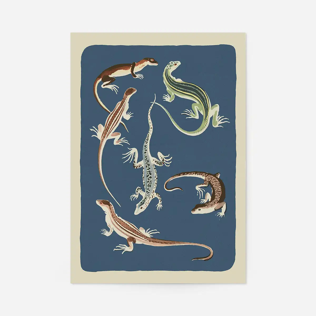 Lizard illustration art print featuring six hand-drawn lizards