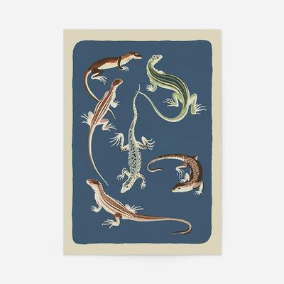 Lizard illustration art print featuring six hand-drawn lizards