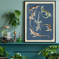 Six Lizards Illustration Print by Elena Pavlovna Gertik