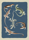 Six Lizards Illustration Print by Elena Pavlovna Gertik