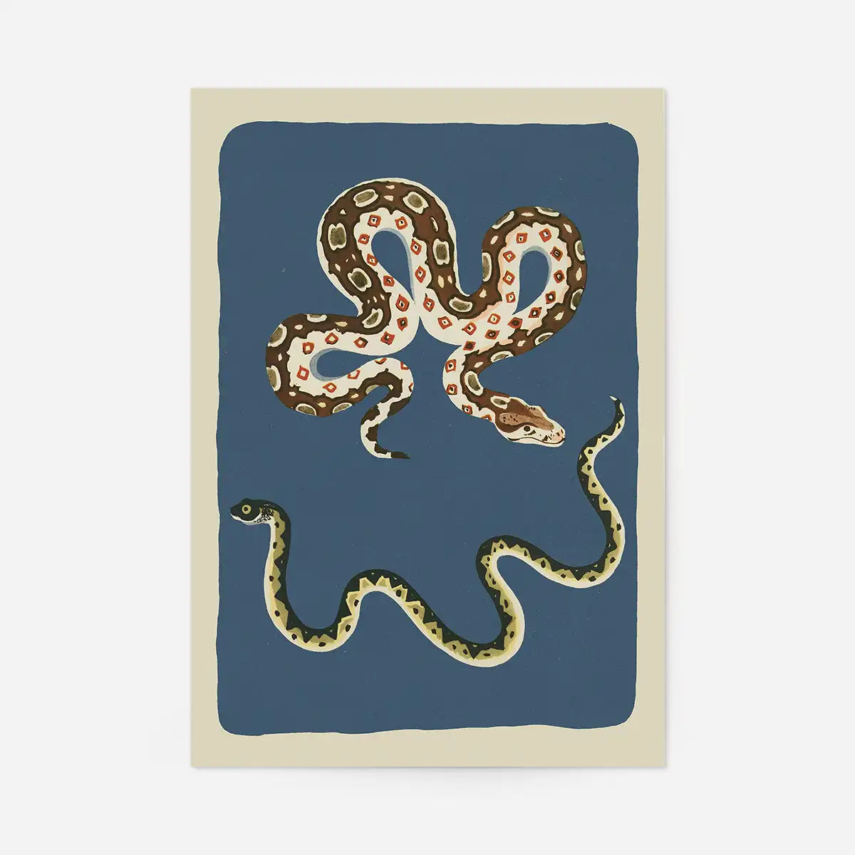 Snakes illustration art print featuring hand-drawn snakes