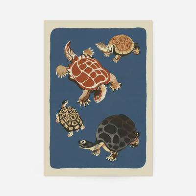 Tortoises illustration art print by Elena Pavlovna Gertik