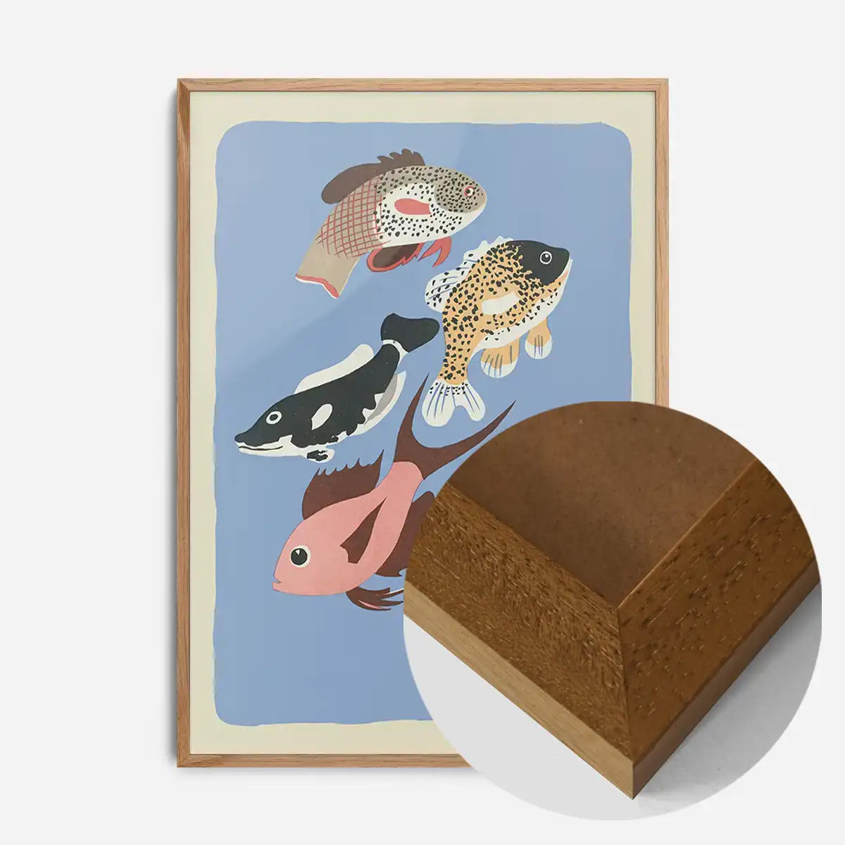 Various Freshwater Fish Illustration Print by Elena Pavlovna Gertik