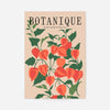 Botanique Illustrated Floral Print