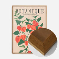Botanique Illustrated Floral Print