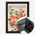 Black Ornate Frame