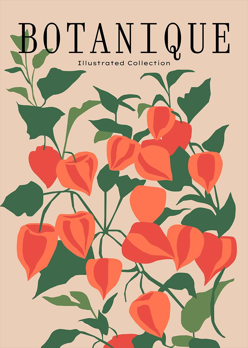 Botanique Illustrated Floral 40x50cm Matte Clearance Print