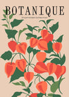 Botanique Illustrated Floral 40x50cm Matte Clearance Print