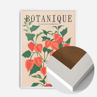 Botanique Illustrated Floral Print