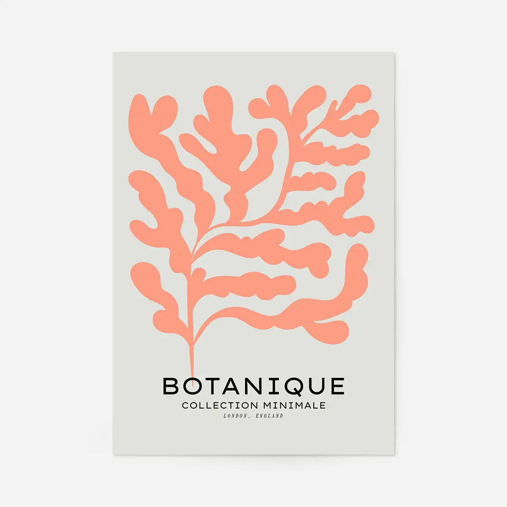 Botanique Minimal Floral Cut Out Print