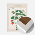 White Wood Frame