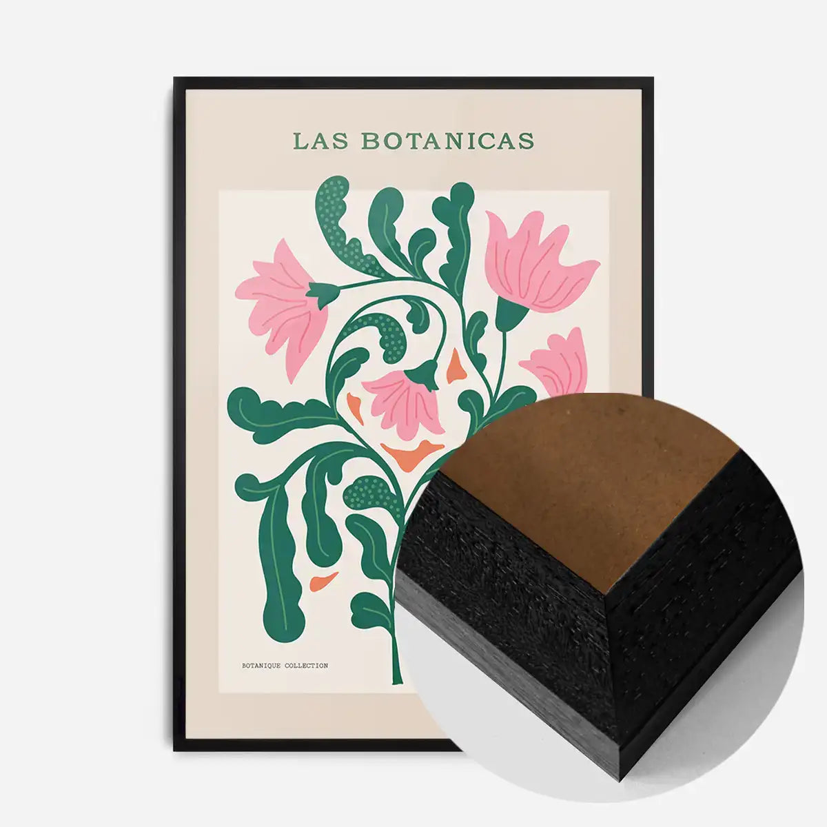 Las Botanicas Illustrated Flower Roses Print