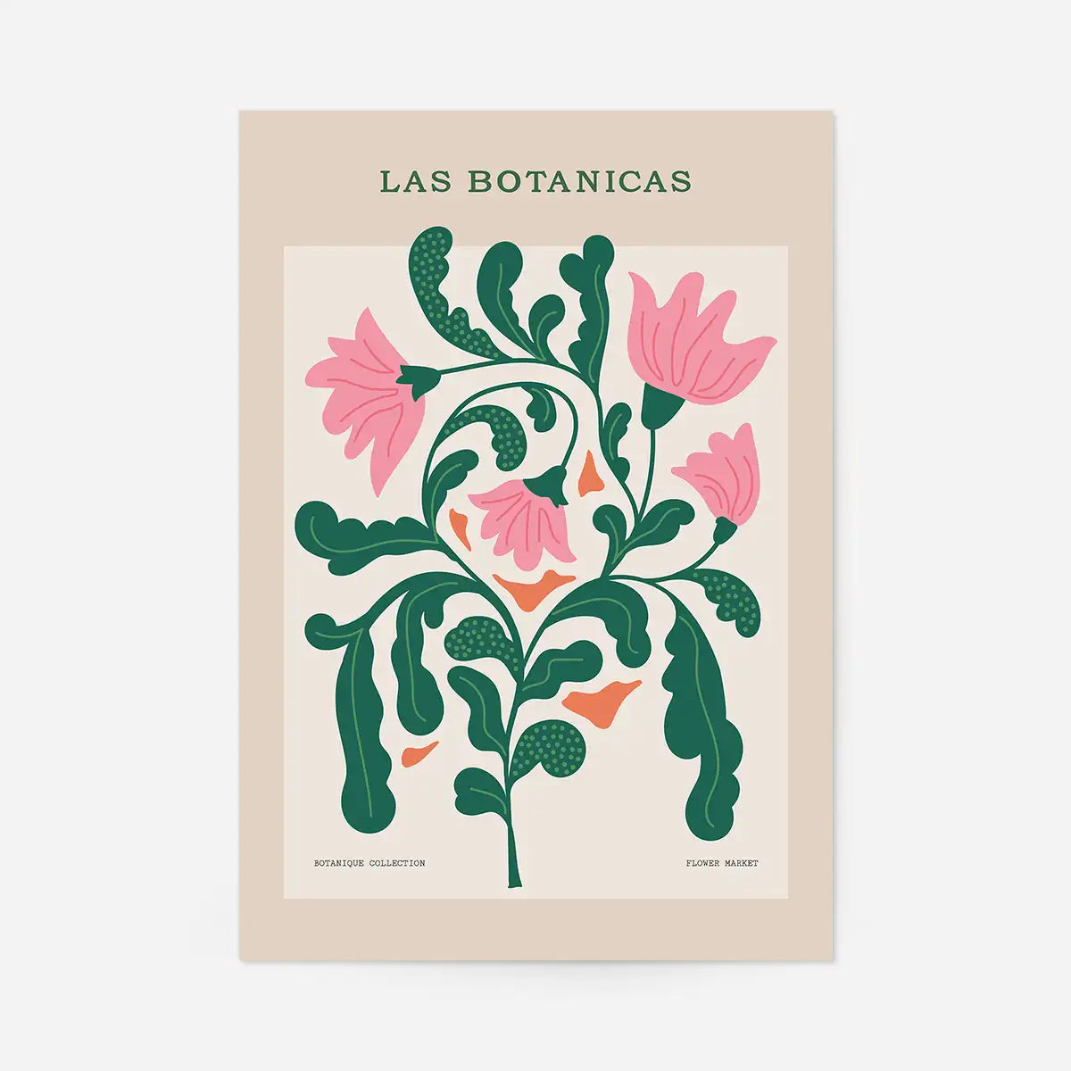 Las Botanicas Illustrated Flower Roses Print