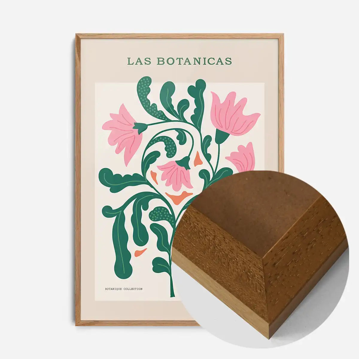 Las Botanicas Illustrated Flower Roses Print