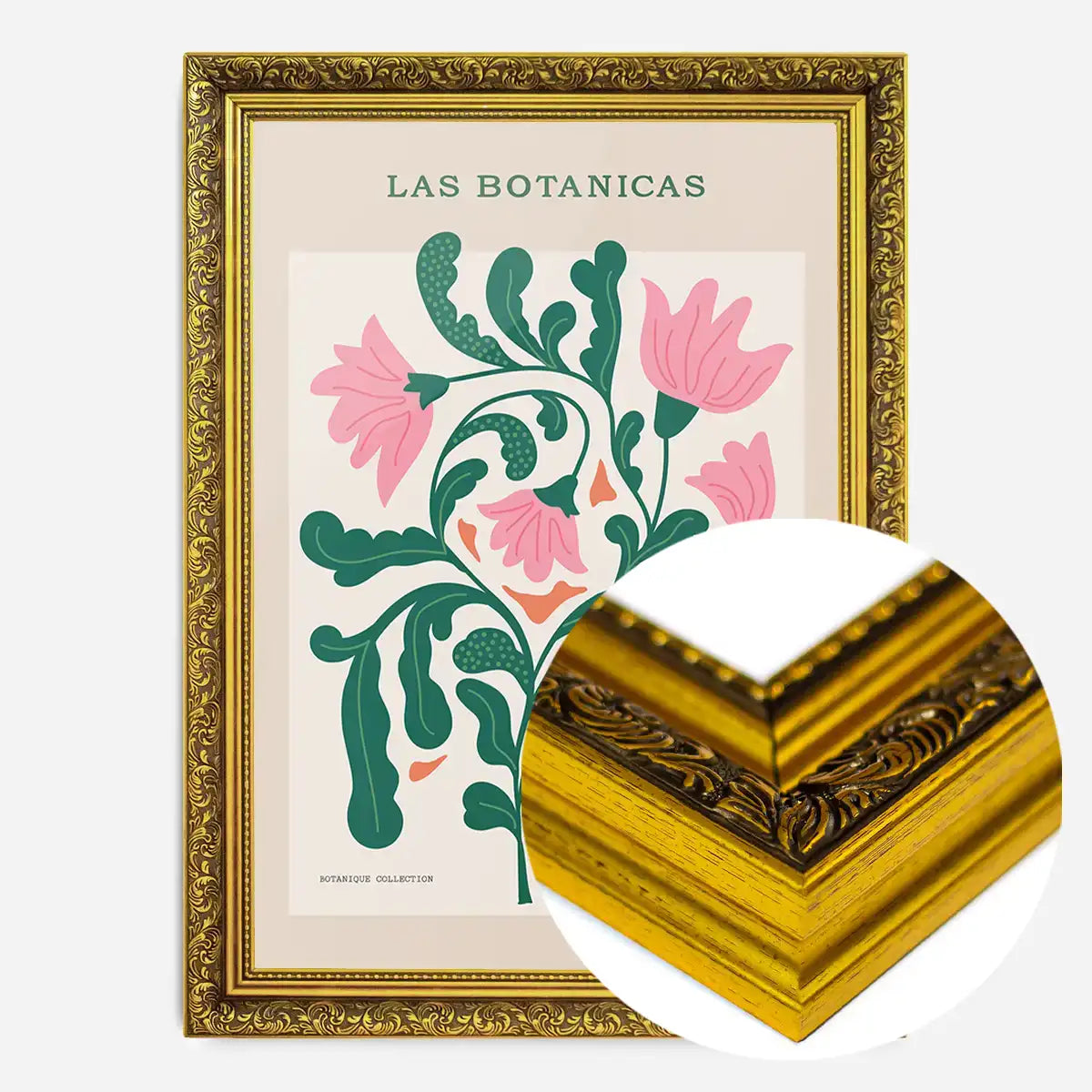 Las Botanicas Illustrated Flower Roses Print