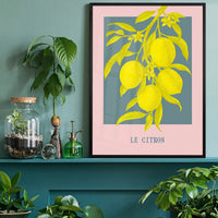 Le Citron Vintage Lemons Print