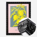 Black Ornate Frame