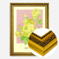 Gold Ornate Frame