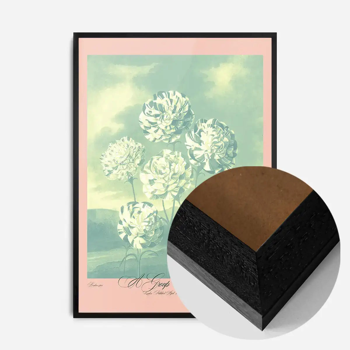 A Group Of Carnations Pastel Flowers Print