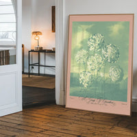 A Group Of Carnations Pastel Flowers Print