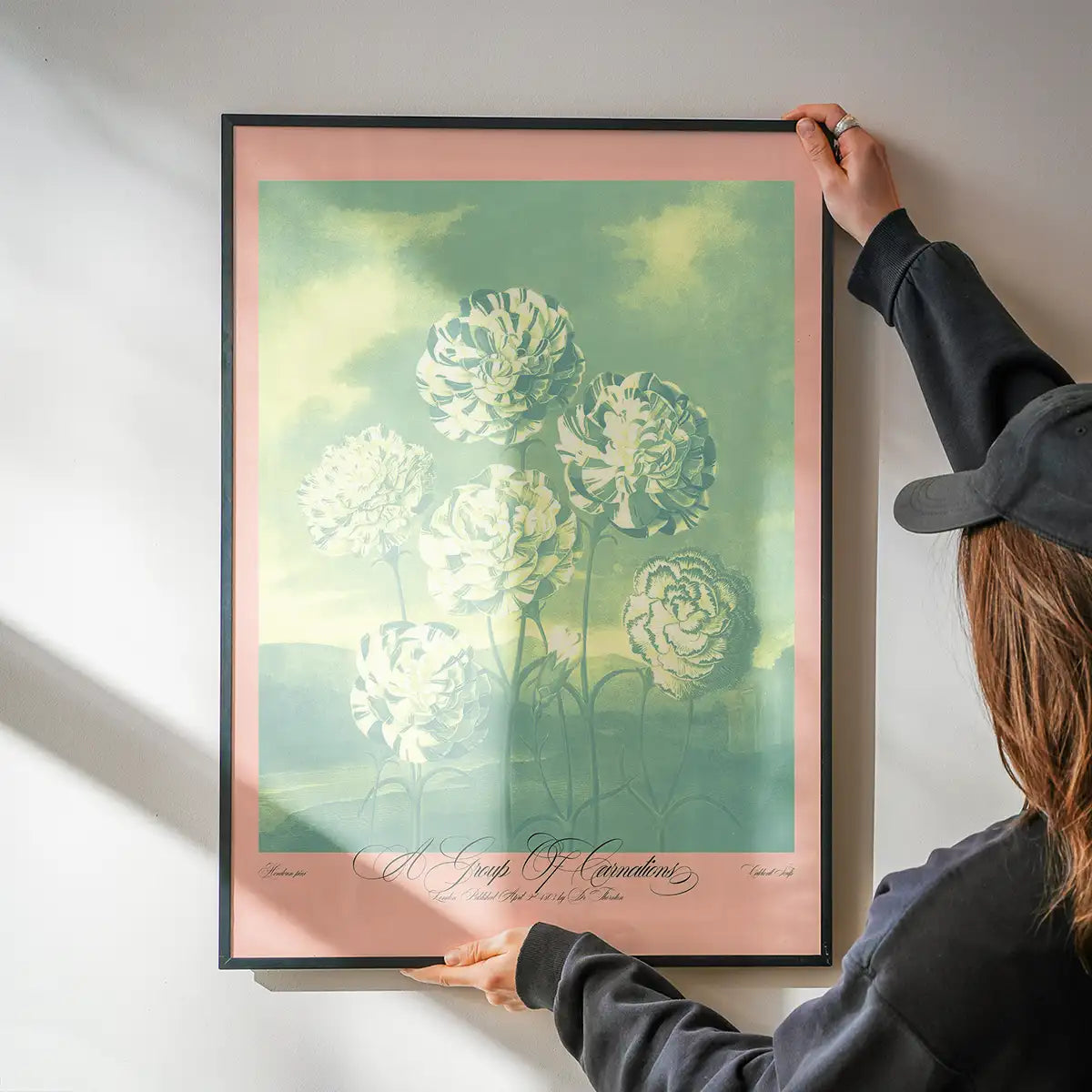 A Group Of Carnations Pastel Flowers Print