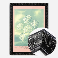 A Group Of Carnations Pastel Flowers Print