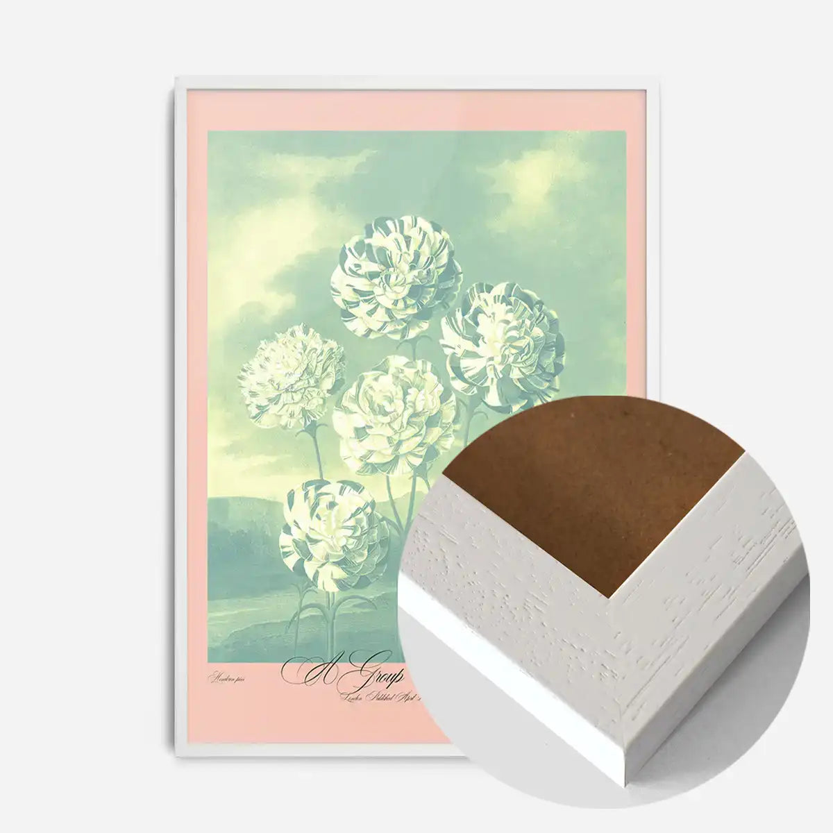A Group Of Carnations Pastel Flowers Print