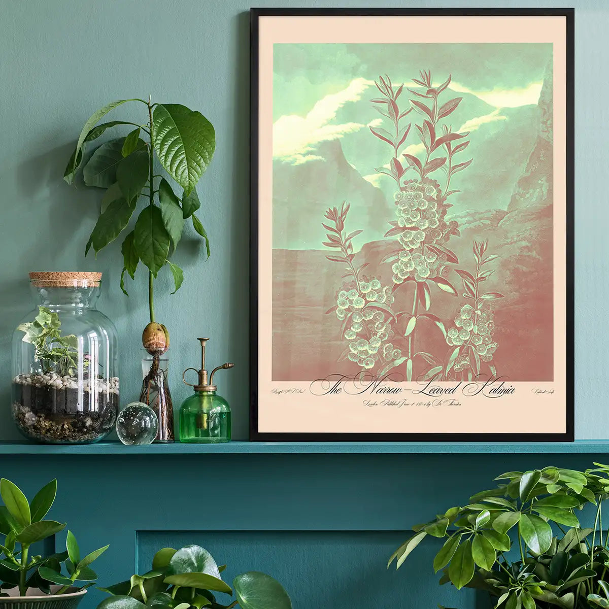 Narrow Leaved Kalmia Pastel Print