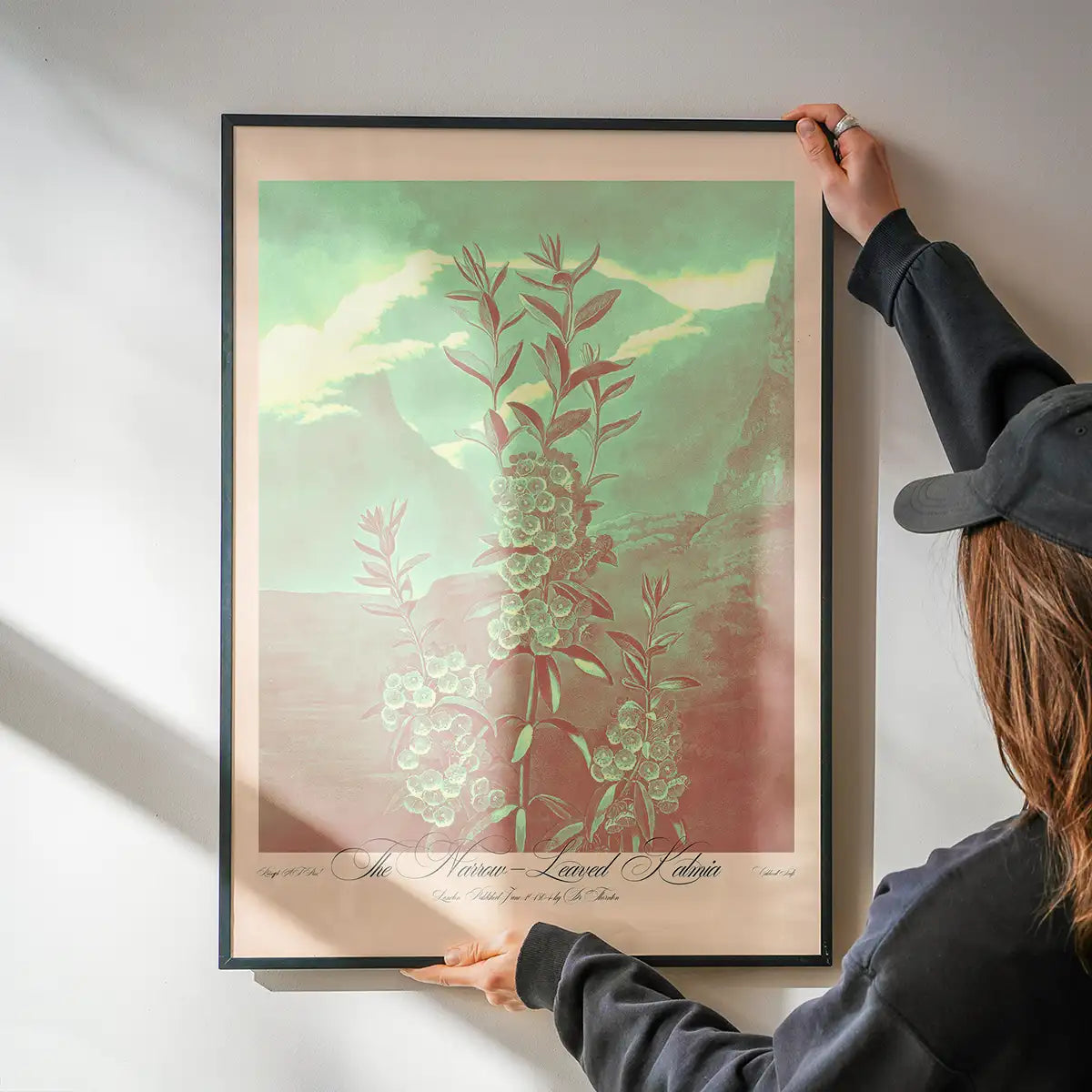 Narrow Leaved Kalmia Pastel Print