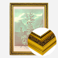 Narrow Leaved Kalmia Pastel Print